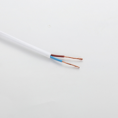 rallonge de cable électrique de fil plat de 500V Mildewproof