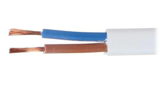 6mm2 matériel de cuivre ignifuge de câble électrique de fil plat de noyau du jumeau 2